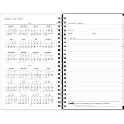 Blue Sky 2024-2025 Belinda Selene Lucy 5