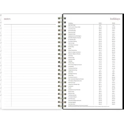 Blue Sky 2024-2025 Belinda Selene Lucy 5