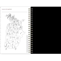 Blue Sky 2024-2025 Belinda Selene Lucy 5