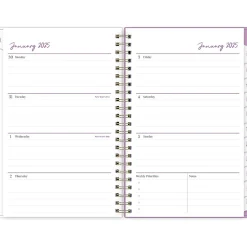 Blue Sky 2025 Britt Mills Citrus Sunrise 5" x 8" Weekly & Monthly Planner, Plastic Cover, Multicolor (152472) New