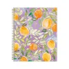 Blue Sky 2025 Britt Mills Citrus Sunrise 8.5" x 11" Weekly & Monthly Planner, Plastic Cover, Multicolor (148026) Sale