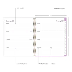 Blue Sky 2025 Britt Mills Citrus Sunrise 8.5