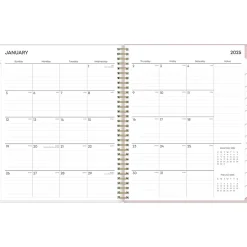 Blue Sky 2025 Checkerboard 8.5