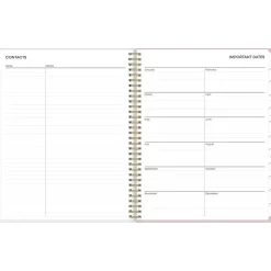 Blue Sky 2025 Checkerboard 8.5