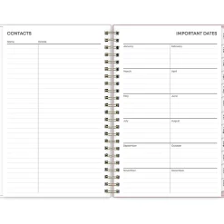 Blue Sky 2025 Checkerboard 5