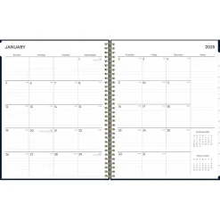 Blue Sky 2025 Cheeyna 8.5