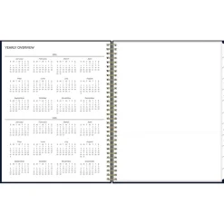 Blue Sky 2025 Cheeyna 8.5