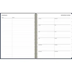 Blue Sky 2025 Cheeyna 8.5