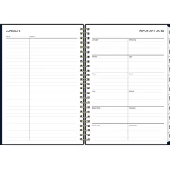 Blue Sky 2025 Cheeyna 5.88