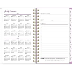 Blue Sky 2025 Citrus Sunrise 3.63