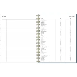Blue Sky 2025 Cocolie 8.5
