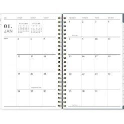 Blue Sky 2025 Cocolie 5