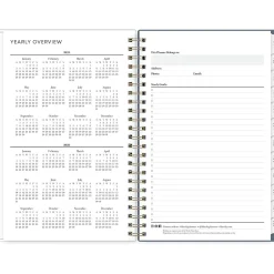 Blue Sky 2025 Cocolie 5