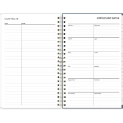 Blue Sky 2025 Cocolie 5