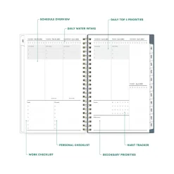 Blue Sky 2025 Cocolie 5