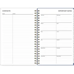 Blue Sky 2025 Cocorrina 5