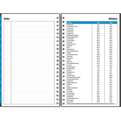 Blue Sky 2024-2025 Collegiate 5