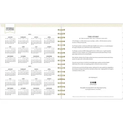 Blue Sky 2025 Day Designer Rugby Stripe 8