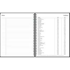 Blue Sky 2024-2025 Enterprise 7