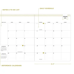 Blue Sky 2025 Felicity 8.5