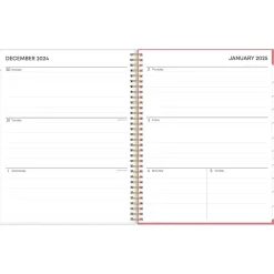 Blue Sky 2025 Fly By 8.5" x 11" Weekly & Monthly Planner, Plastic Cover, Multicolor (140195-25) Online