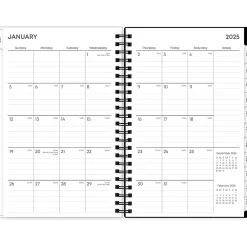 Blue Sky 2025 Fran 5