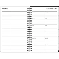 Blue Sky 2025 Fran 5