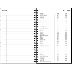 Blue Sky 2025 Fran 5