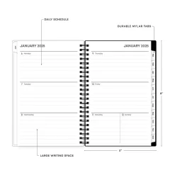 Blue Sky 2025 Fran 5