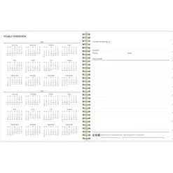 Blue Sky 2024-2025 Gemma 8.5