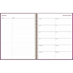 Blue Sky 2025 Gili 8.5