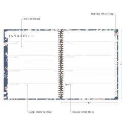 Blue Sky 2025 Green Earth Effie 8.5