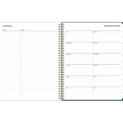 Blue Sky 2024-2025 Greta 8.5