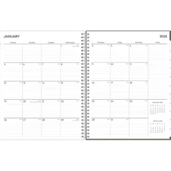 Blue Sky 2025 Joey Floral 8.5