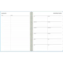 Blue Sky 2024-2025 Jordy Blue 8.5