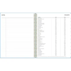 Blue Sky 2024-2025 Jordy Blue 8.5