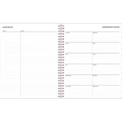 Blue Sky 2025 Joselyn 8