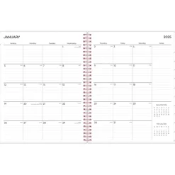 Blue Sky 2025 Joselyn 8.5