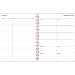 Blue Sky 2025 Joselyn 8.5