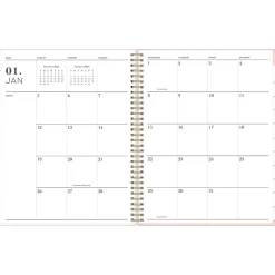 Blue Sky 2025 Julissa 8.5