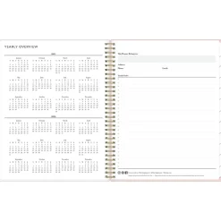 Blue Sky 2025 Julissa 8.5