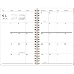 Blue Sky 2025 Julissa 8.5