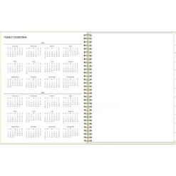 Blue Sky 2024-2025 Junie 8.5