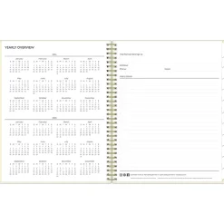 Blue Sky 2024-2025 Junie 8.5