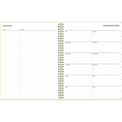 Blue Sky 2024-2025 Junie 8.5