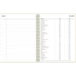 Blue Sky 2024-2025 Junie 8.5