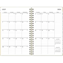 Blue Sky 2024-2025 Junie 5