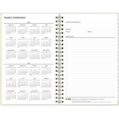 Blue Sky 2024-2025 Junie 5