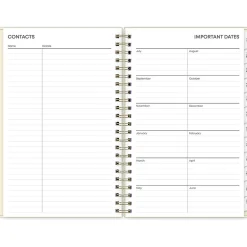 Blue Sky 2024-2025 Junie 5