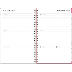 Blue Sky 2025 Juno Pink 5" x 8" Weekly & Monthly Planner, Plastic Cover, Multicolor (152265)